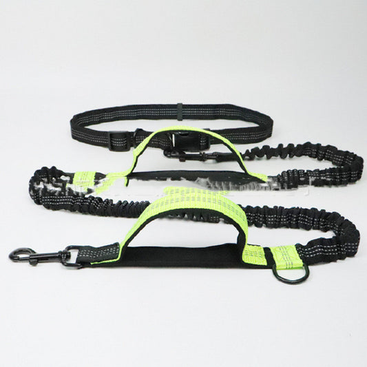 Pet Traction Rope with Enhanced Control and Comfort