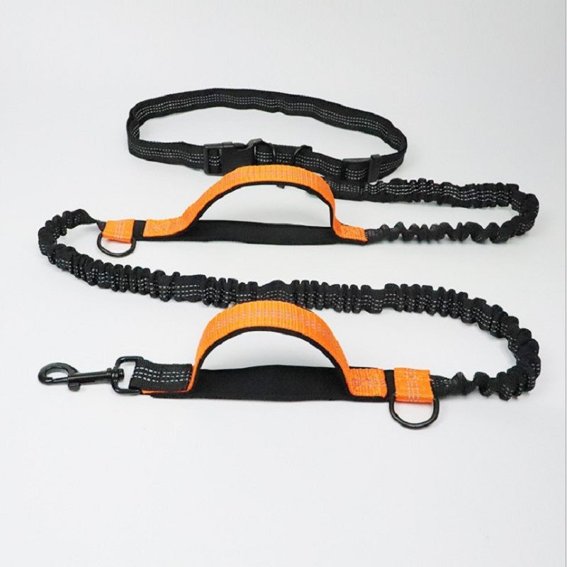 Pet Traction Rope with Enhanced Control and Comfort